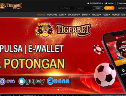 TIGERBET888 – BONUS SLOT 100% NEW MEMBER CLAIM LANGSUNG DIDEPAN